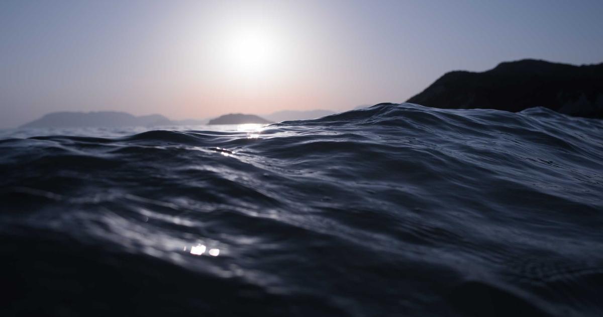 Python’s Performance Problem: Why Modern Web Apps Are Ditching Interpreted Languages