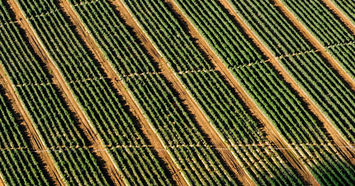 Cloud Cost Optimization Tools Are Scams: How to Actually Slash Your AWS Bill