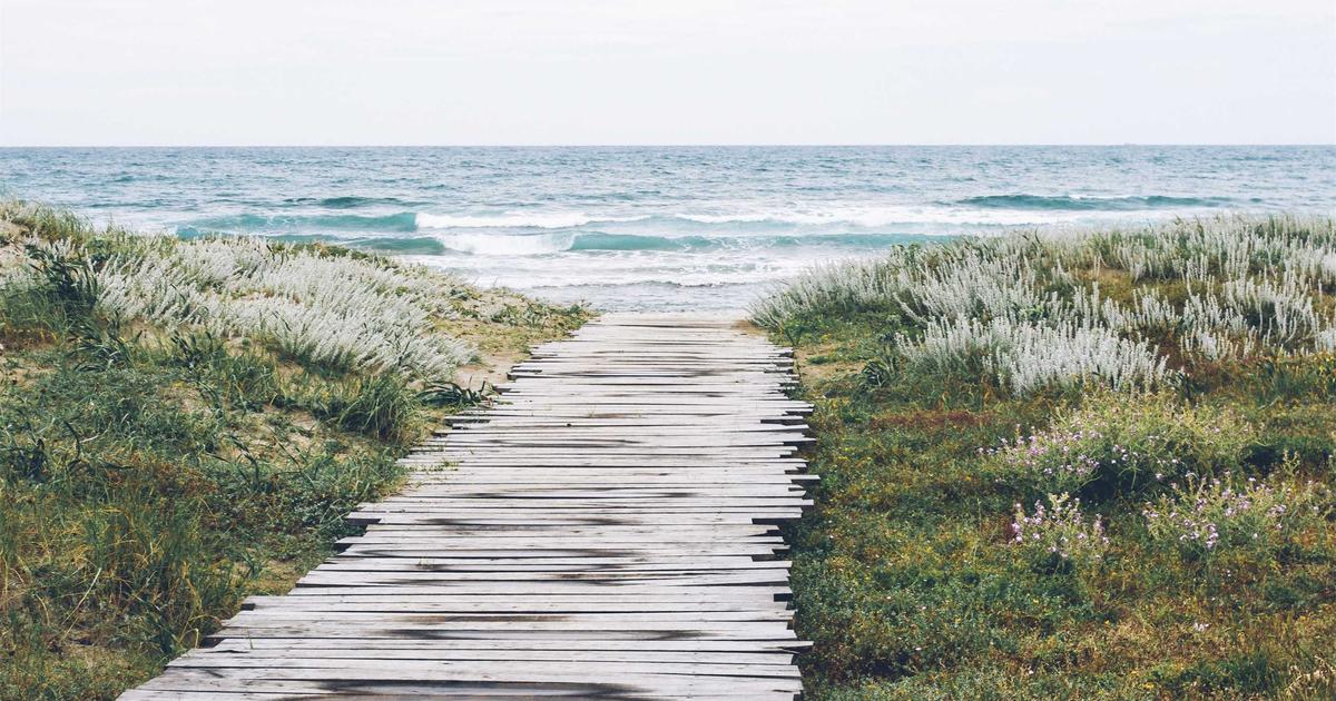 Open Source Databases Are Winning: Why Proprietary Vendors Can’t Compete in 2024