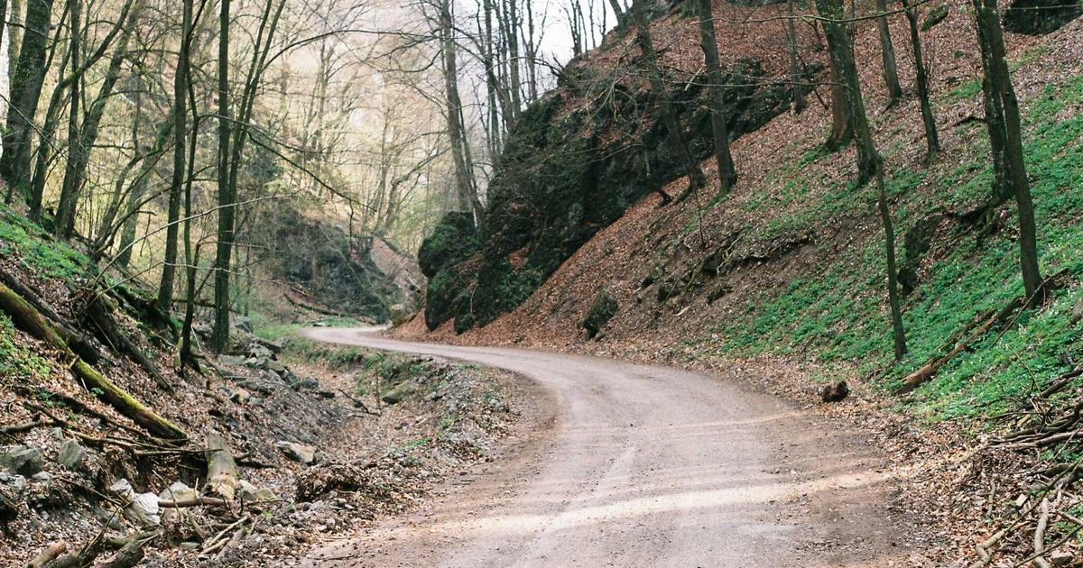 Why Microservices Are Failing: The Monolith Comeback in Modern Cloud Architecture